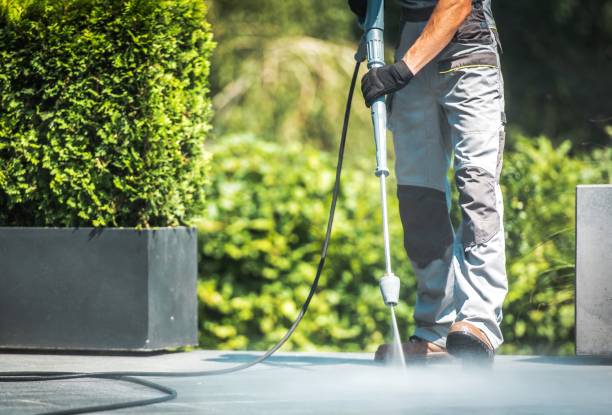 Best Gutter Cleaning  in Ocklawaha, FL